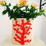 Mare Old Town Center بيت ضيافة باري