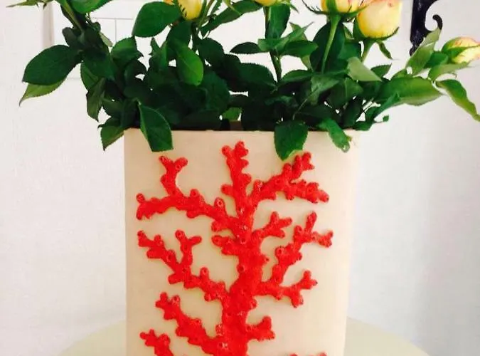 Mare Old Town Center Pensjonat Bari